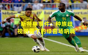 斯特林事件：种族歧视阴霾下的绿茵场呐喊