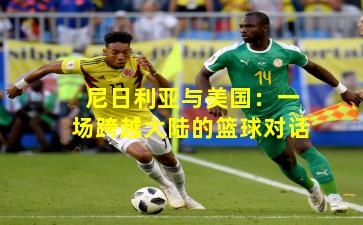 尼日利亚与美国：一场跨越大陆的篮球对话