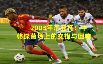 2003年东亚杯：中韩绿茵场上的交锋与回响