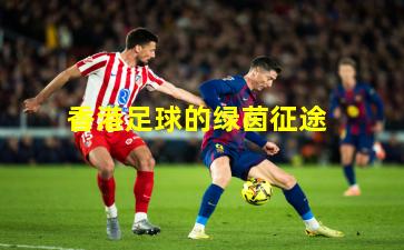 香港足球的绿茵征途