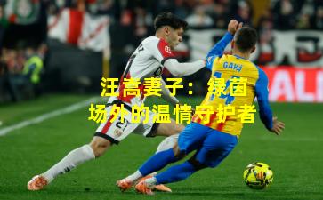 汪嵩妻子：绿茵场外的温情守护者