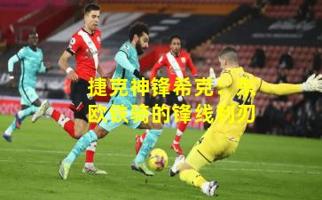 捷克神锋希克:东欧铁骑的锋线利刃 捷克神锋希克:东欧铁骑的锋线利刃